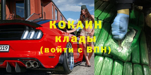 индика Балахна