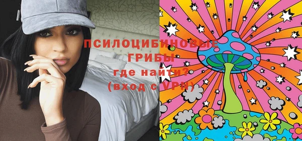индика Балахна