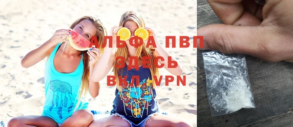 индика Балахна