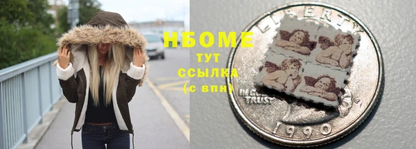 индика Балахна