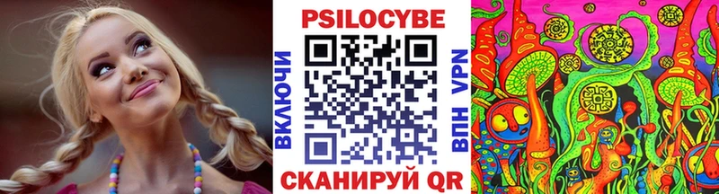 Псилоцибиновые грибы Magic Shrooms что такое Северо-Курильск
